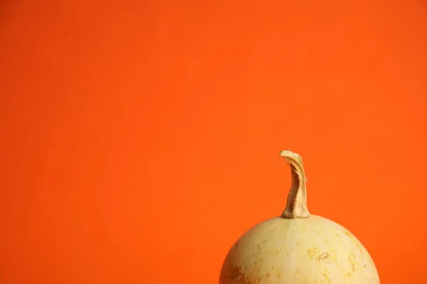 Abóboras Fundo Laranja Colheita Outono — Fotografia de Stock