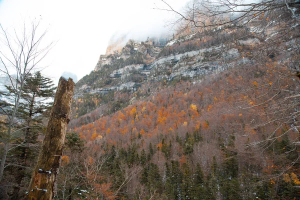 Ordesa National Valley Snöig Höst Beläget Pyrenéerna Spanien — Stockfoto