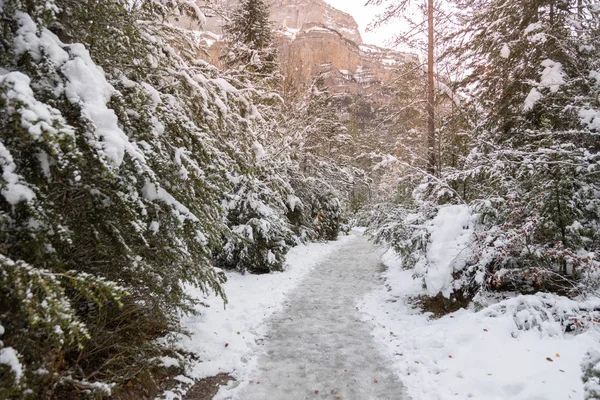 Valle Nacional Ordesa Otoño Nevado Situado Pirineos España — Foto de Stock