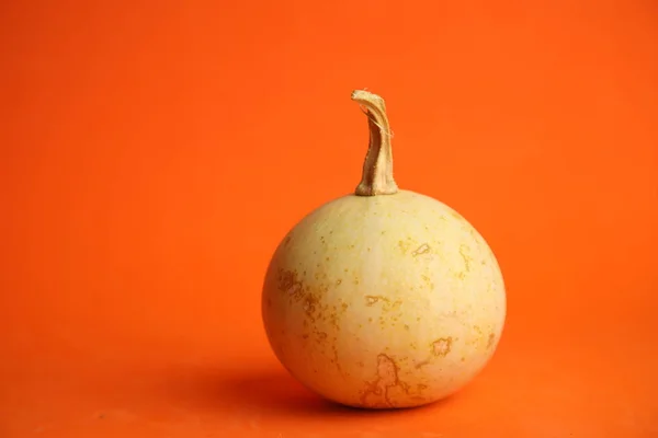 Tökfejek Narancssárga Háttérrel Őszi Szüret — Stock Fotó