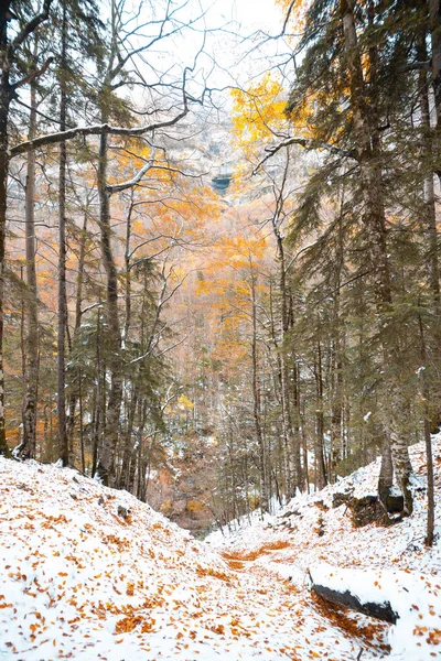 Ордынская Национальная Долина Снежную Осень Расположенная Пьесе Испания — стоковое фото