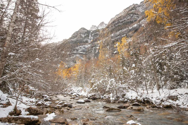 Ordesa National Valley Besneeuwde Herfst Gelegen Pyreneeën Van Spanje — Stockfoto