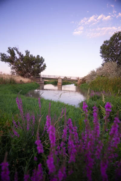 Torres de Berrellen Zaragoza İspanya 'daki Jalon Nehri' nden geçen köprüler.
