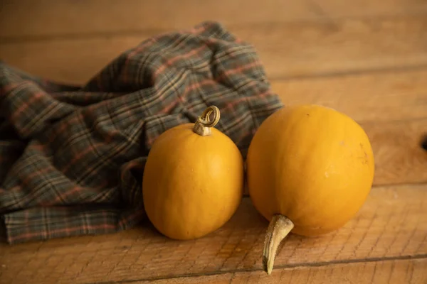 Divers Assortiment Citrouilles Sur Fond Bois Récolte Automne — Photo