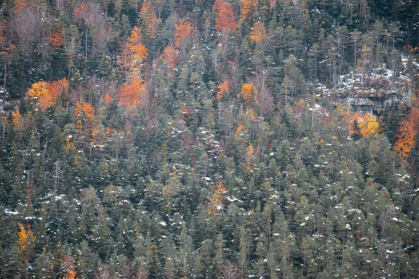 位于西班牙比利牛斯的Ordesa National Valley Snowy Autumn — 图库照片