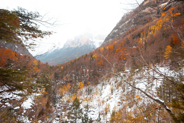 Valle Nacional Ordesa Otoño Nevado Situado Pirineos España — Foto de Stock