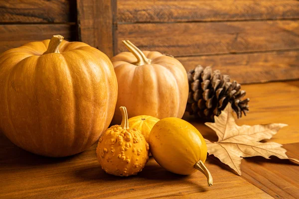 Herbst Zentrum Hintergrund Mit Orangen Tönen — Stockfoto