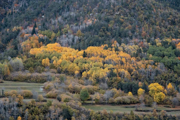 Осенью Долина Брато Расположенная Испанском Пьесе — стоковое фото