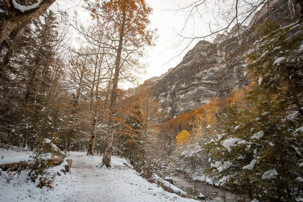 Ordesa National Valley Besneeuwde Herfst Gelegen Pyreneeën Van Spanje Rechtenvrije Stockfoto's