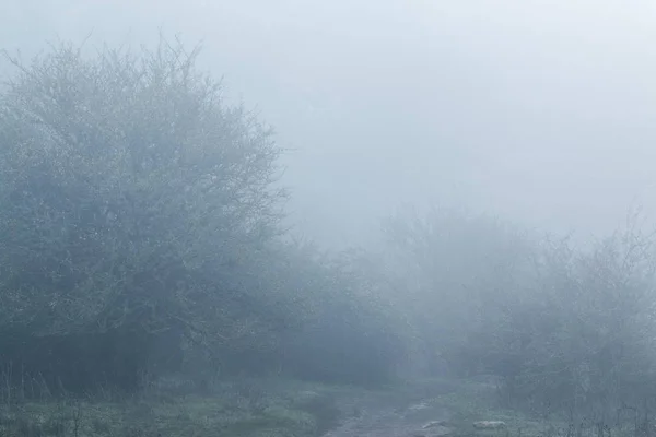 Sentier pédestre dans le brouillard à Torcal, Antequera — Photo
