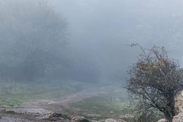 Wanderweg im Nebel in torcal, antequera — Stockfoto