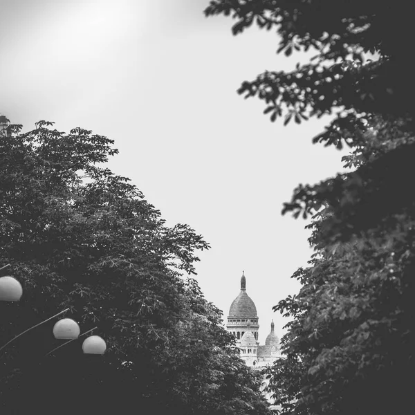 Sacre Coeur mezi stromy — Stock fotografie