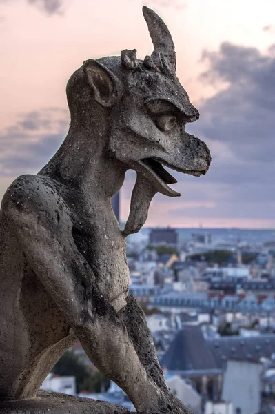 Gargoyle på Notre Dame i Paris vid solnedgången — Stockfoto