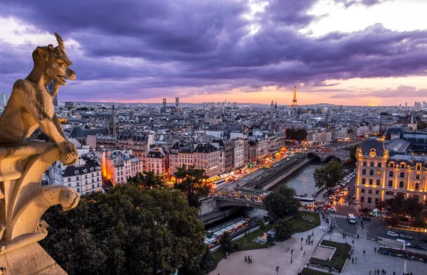Gargoyle sur Notre Dame à Paris au coucher du soleil — Photo