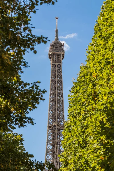 Torre Eiffel em árvores verdes no céu azul — Fotografia de Stock