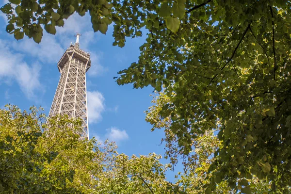 Eiffel Tower in green trees on blue sky — Stock Photo, Image