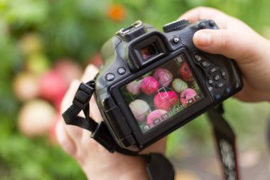 Fotoğraf ve video çekiyorum. Kamera ellerde. Yakın plan.