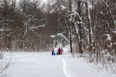 Arkadaşlar yürüyüşte