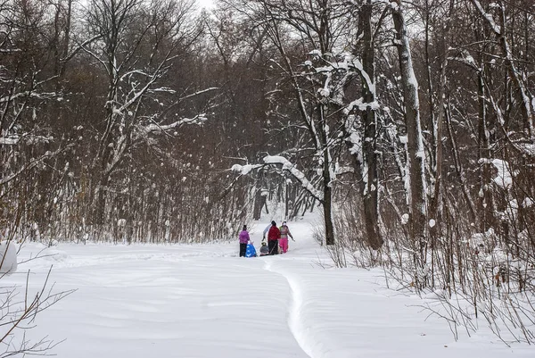 Arkadaşlar yürüyüşte