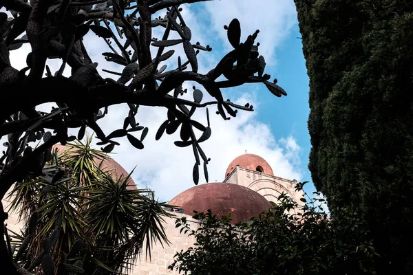 Palermo, Sicilya, İtalya - 20 Aralık 2018: San Cataldo Kilisesi 'nden Cupola önplanda dikenli armut bitkisi ve palmiye ağaçları ile görüldü