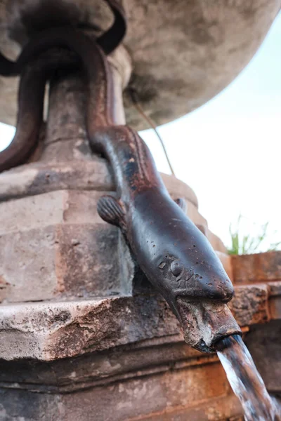Anguillara, Italy - December 27 2019: Close up of water fountain in Anguillara citadel, resembling an eel, symbol of the city. Anguillara is a small village on Bracciano lake.