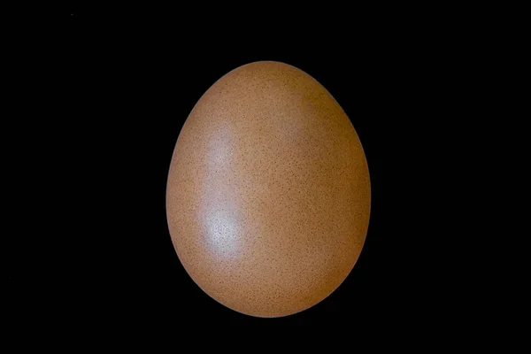 Un vero uovo di pollo da un allevamento di polli domestico su uno sfondo nero — Foto Stock