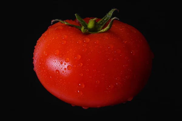 Idealnym czerwony dojrzały pomidor soczysty w krople wody na czarnym tle — Zdjęcie stockowe