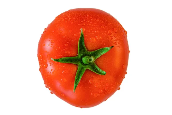 Tomate rojo fresco jugoso perfecto con hojas verdes en gotas de agua sobre un fondo blanco —  Fotos de Stock