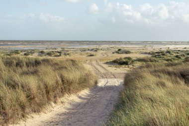 Amrum adasının sahil şeridinde bir yol