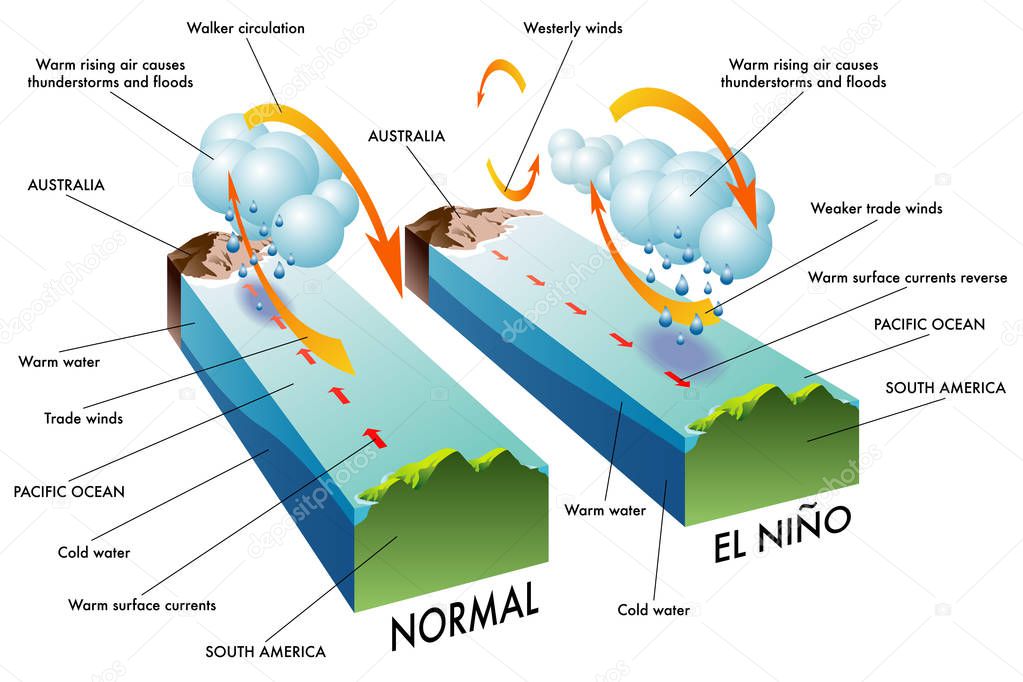 Cross section of El Nino South