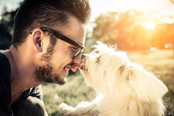 犬と遊ぶ男 — ストック写真