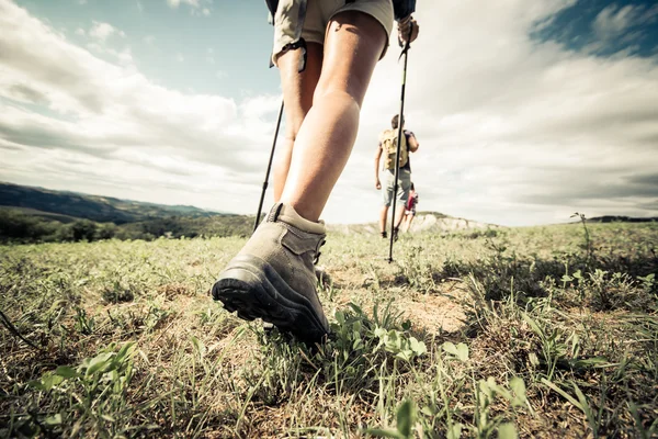 Gruppo di amici trekking — Foto Stock