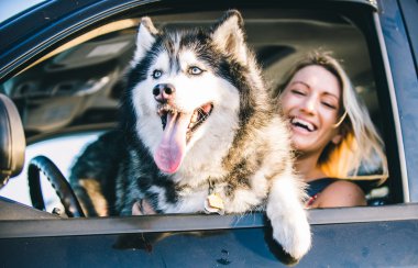 Husky köpek ve gülümseyen kadın