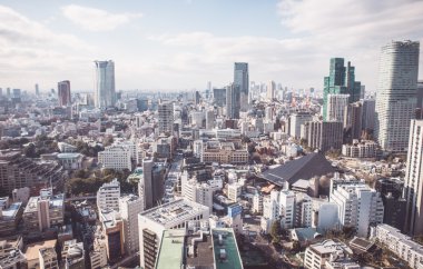 Tokyo havadan görünümü