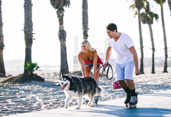 Paar hat Spaß mit Husky — Stockfoto