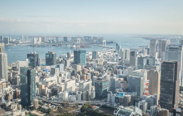 Tokyo Vue Aérienne — Photo