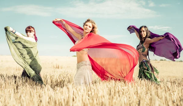 Танцоры живота на пшеничном поле — стоковое фото