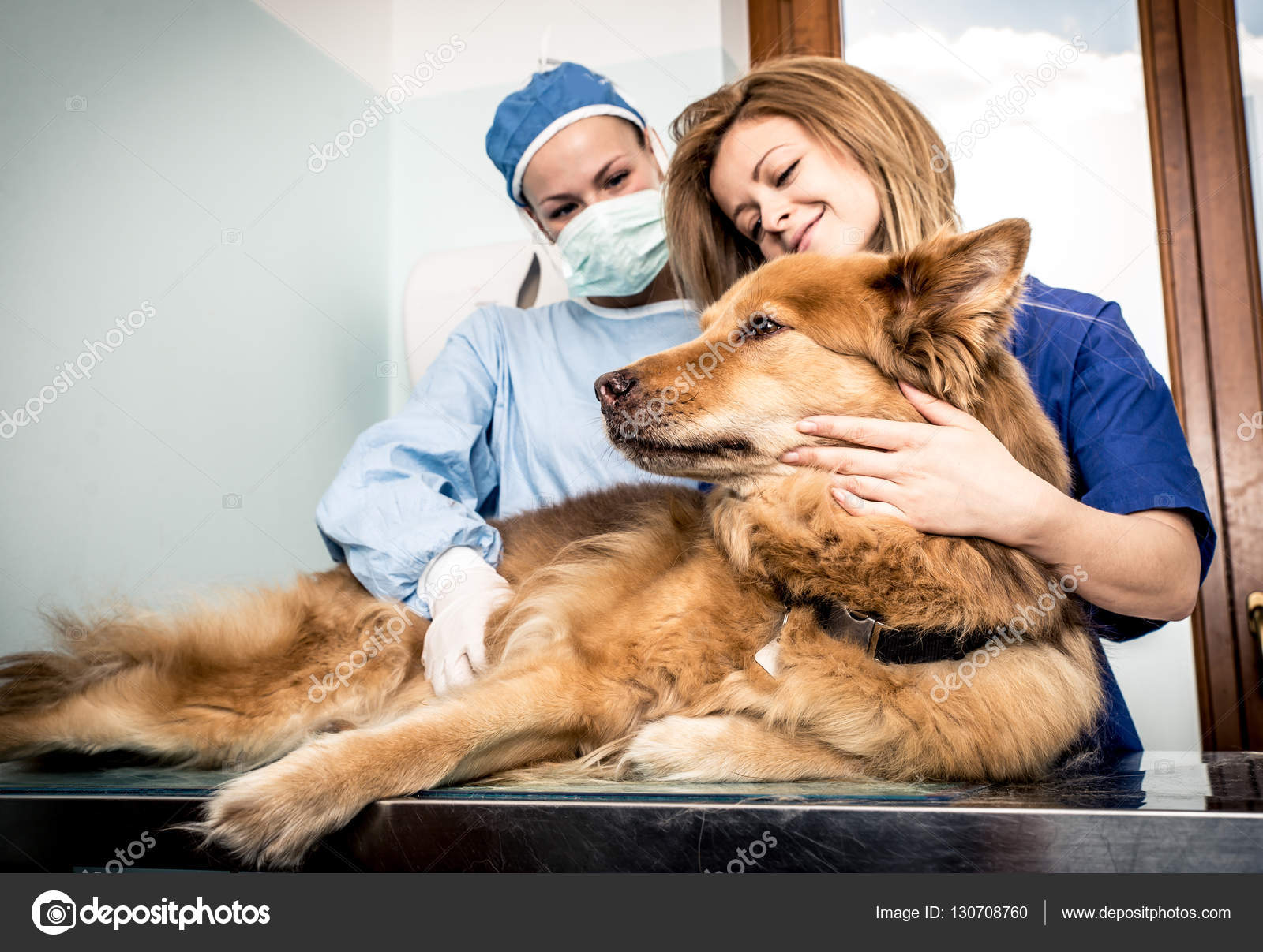 Veterinary doctor checking dog heart Stock Photo by ©oneinchpunch 130708760