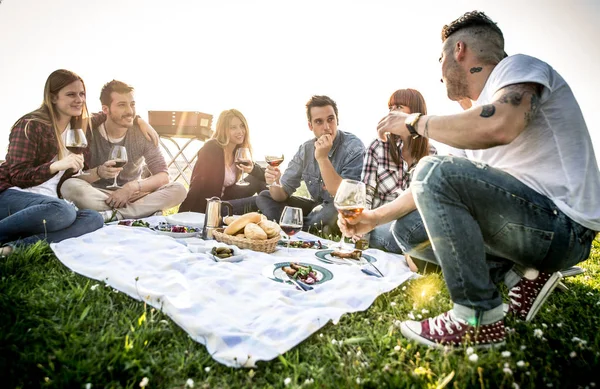 Venner som har det gøy på piknik – stockfoto