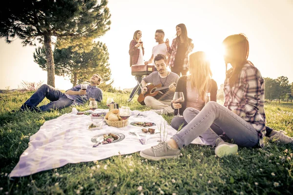 Amigos divirtiéndose en el picnic —  Fotos de Stock