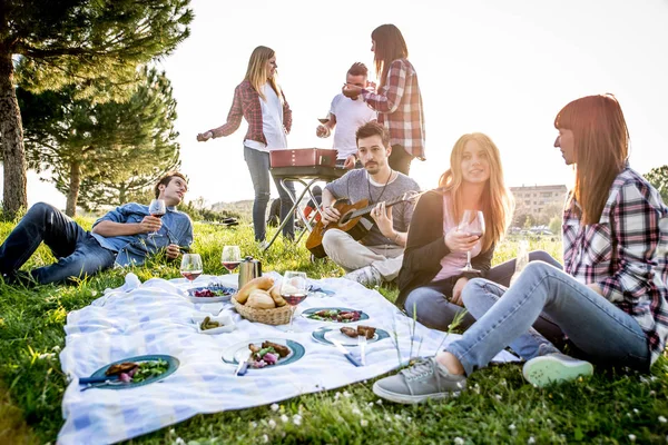 Venner som har det gøy på piknik – stockfoto