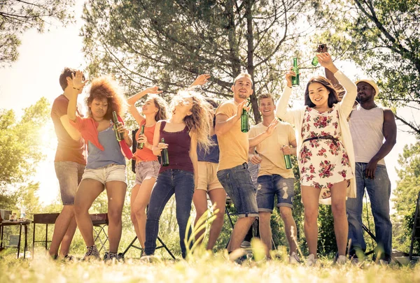 Friends partying at picnic — Stock Photo, Image