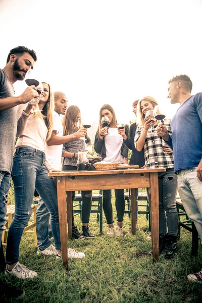 Amigos jantando no jardim — Fotografia de Stock