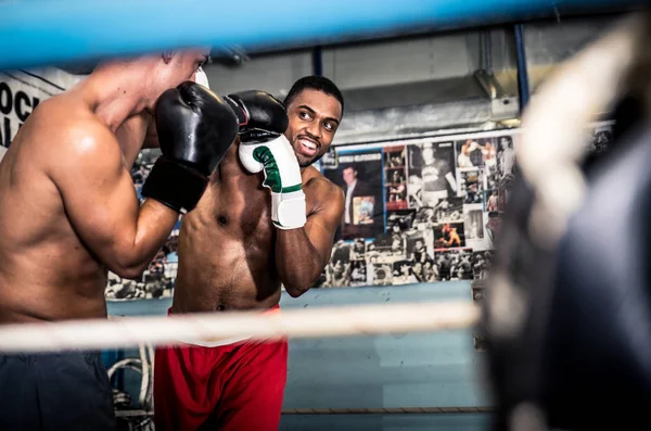 Amichevole boxe sparring — Foto Stock
