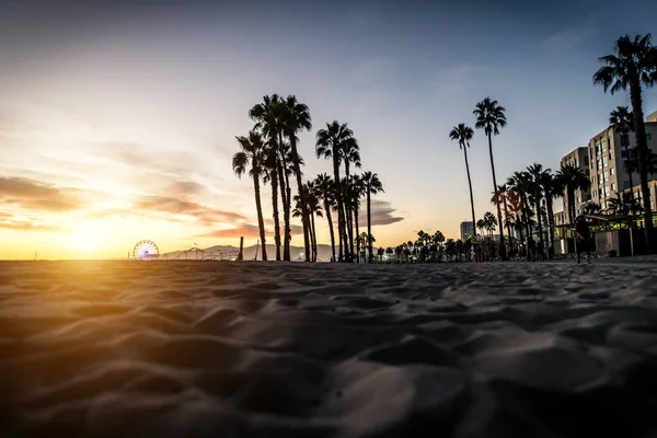 Palmen-Silhouetten und Santa-Monica-Gehweg — Stockfoto