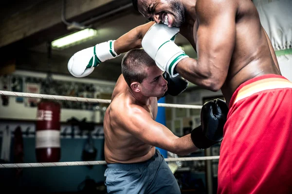 Friendly boxing sparring