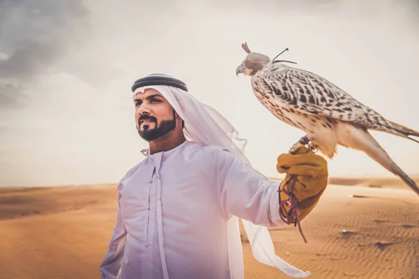 Homem árabe com falcão — Fotografia de Stock