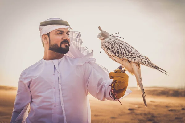 호크와 아라비아 사람 — 스톡 사진