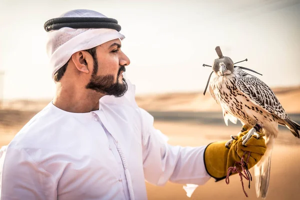 Arabian man med hawk — Stockfoto