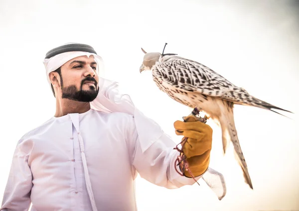 Arabische man met hawk — Stockfoto